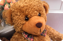 sc_start_image2
