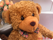 DSC_0135.jpg